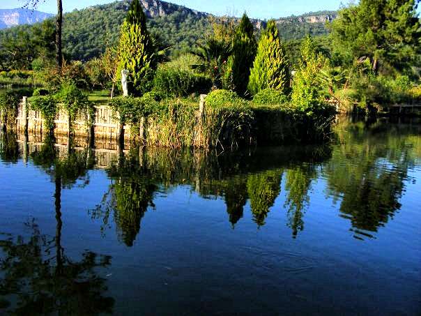 Ye�ilin Yans�mas�