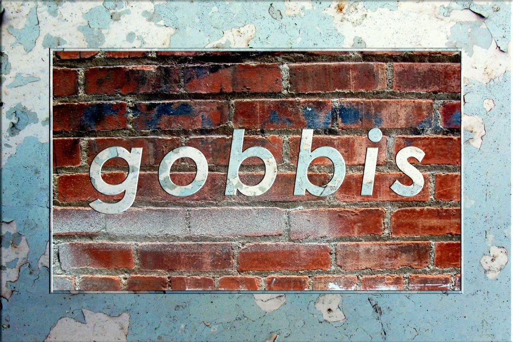 GOBBIS SATIA BALADI www.gobbis.com