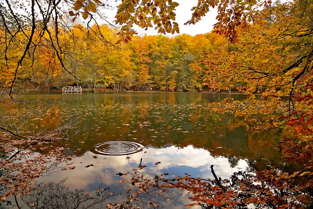 tm yzeye yaylan bir dalgadr sevgi 