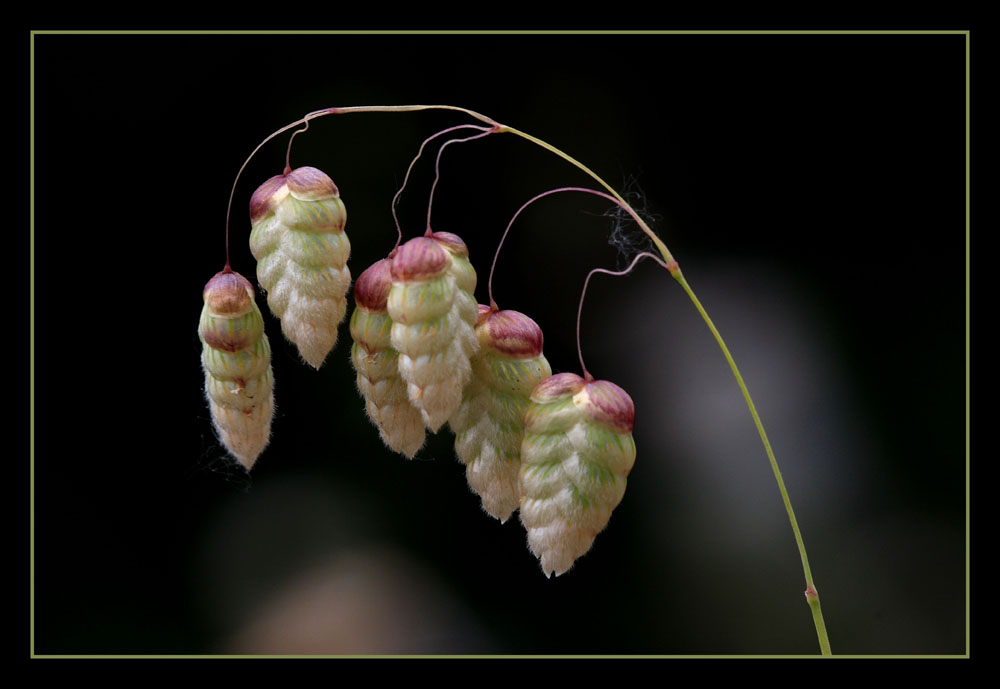 Baharla Gelen Gzellikler...