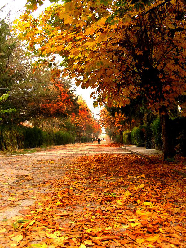 sokaklarda sonbahar