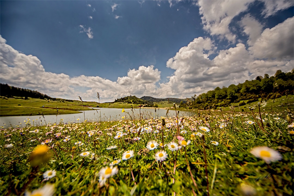 yeilin yeniden gnei grd zamanlar