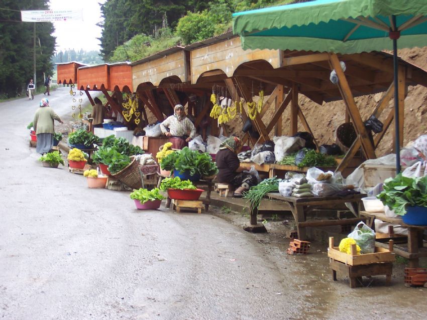 k�mbet yolu/giresun