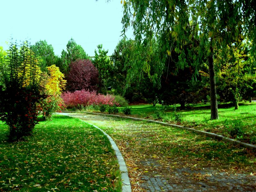 ilk mi son mu bahar?