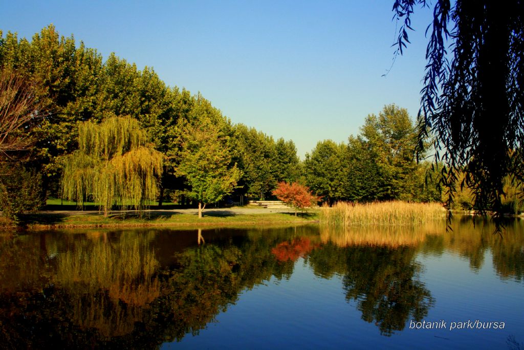 botanik park/bursa