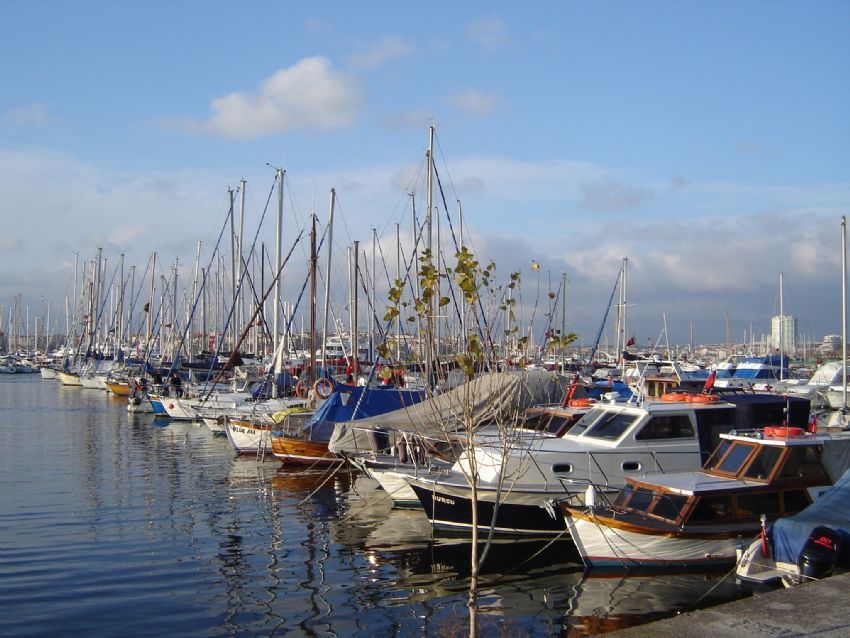fenerbahe marina