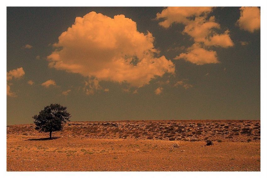 Tek Arkadam Bulutlar