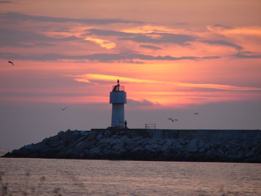 Her eyden Uzak,Martlarla Babaa