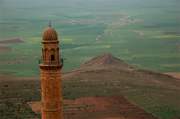 mardin  ovas