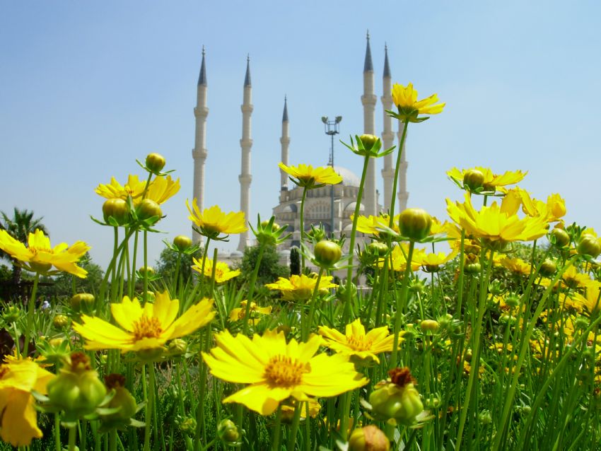 adana merkez camii ve park