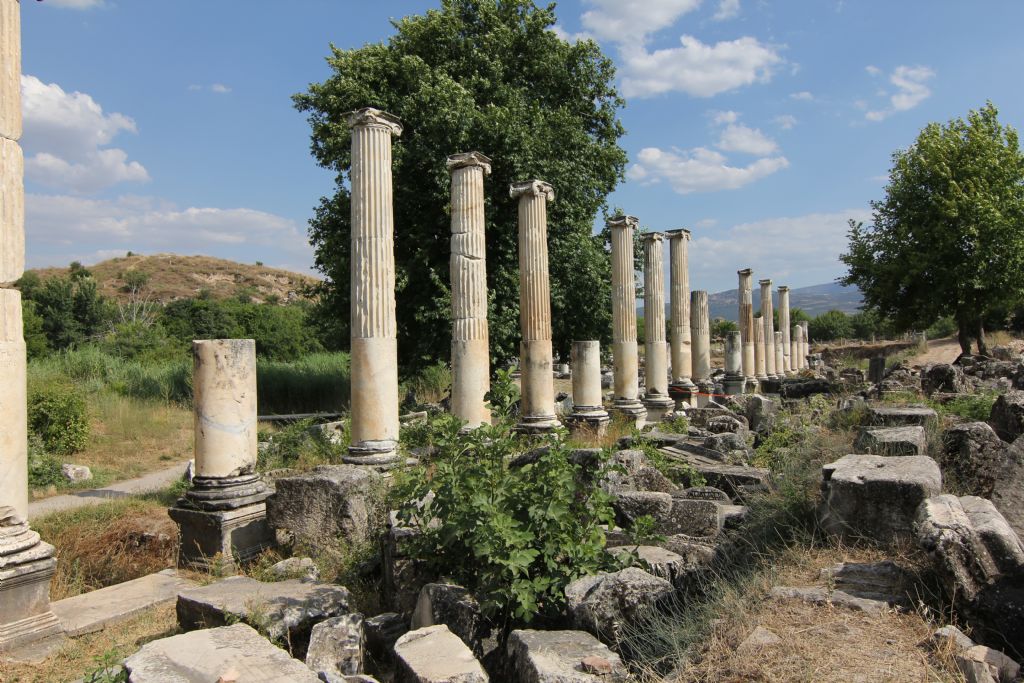 afrodisias