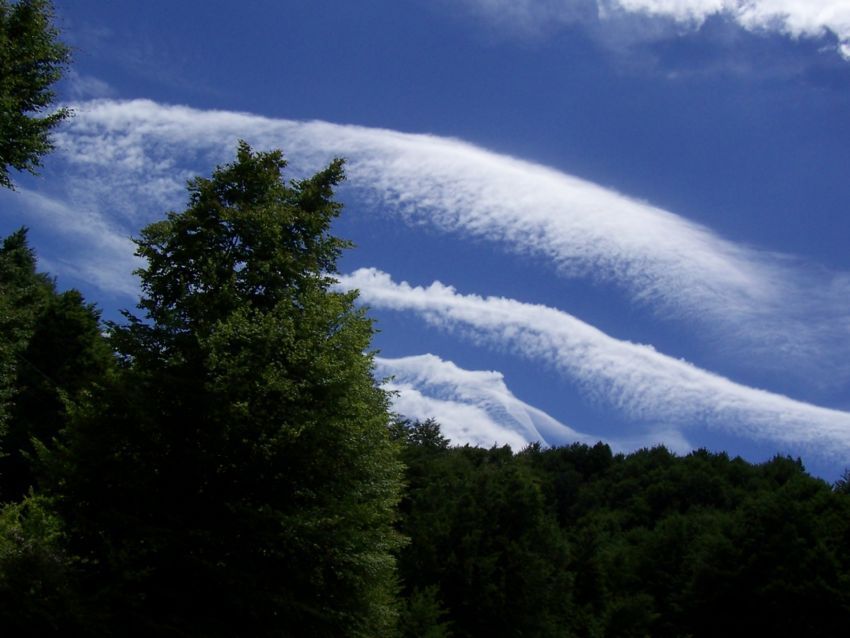 mavi...bulut...ye�illik...