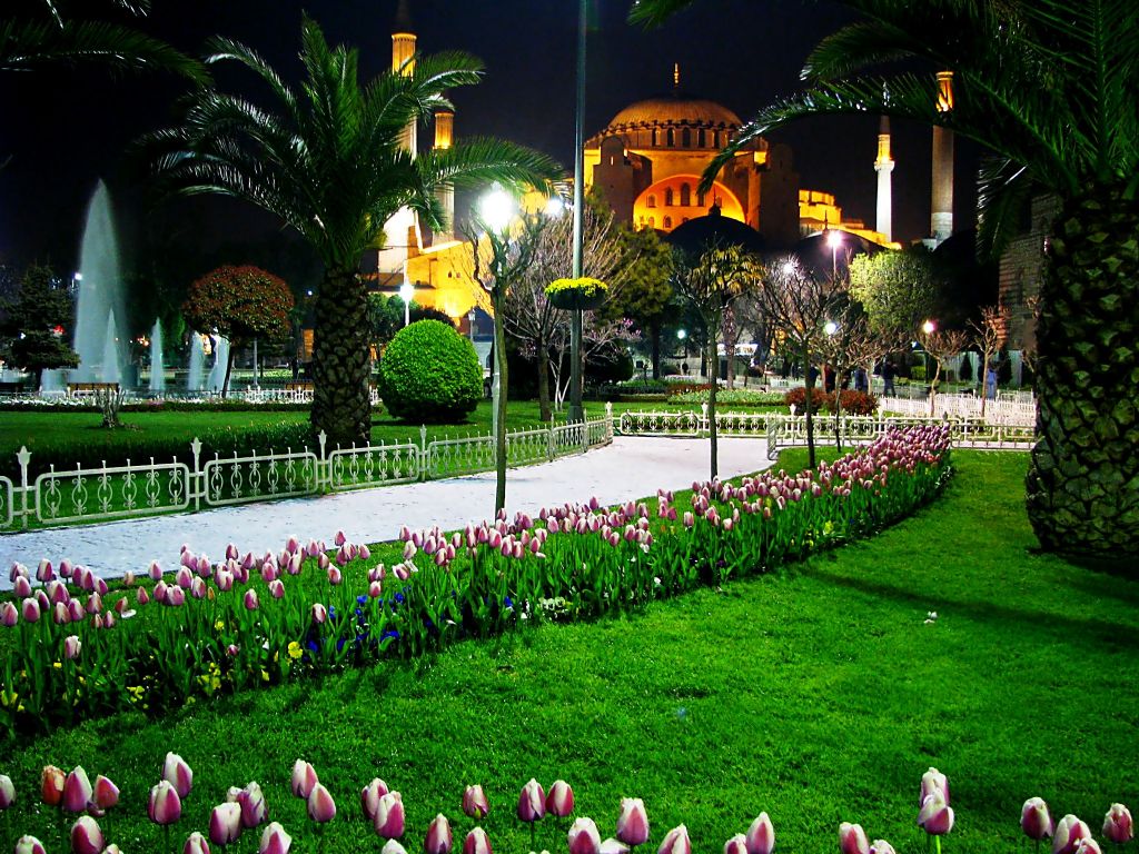 d�nyan�n 8. harikas�