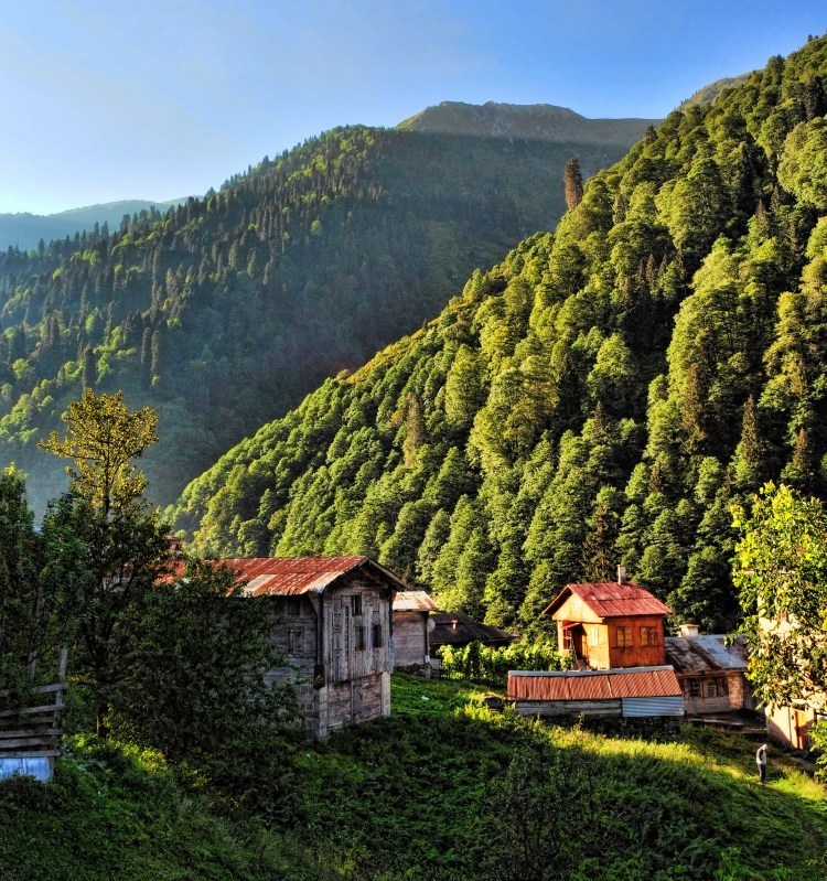Karadeniz de bir sabah