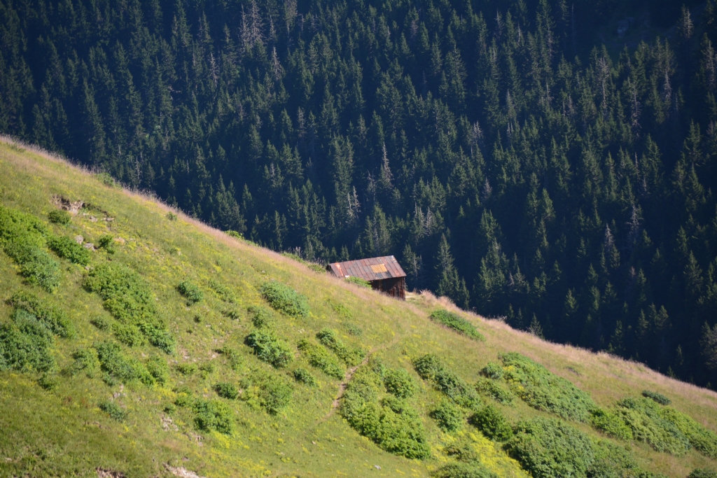 Yayla evi