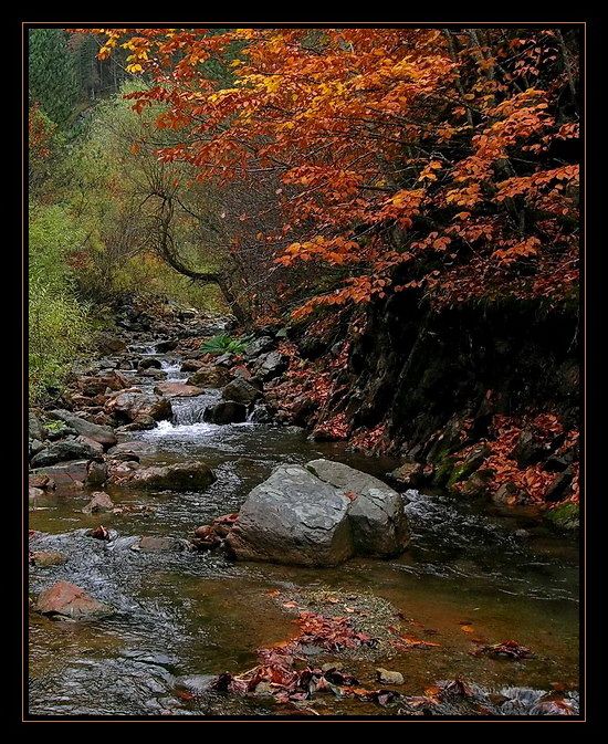 Kastamonu'da Sonbahar