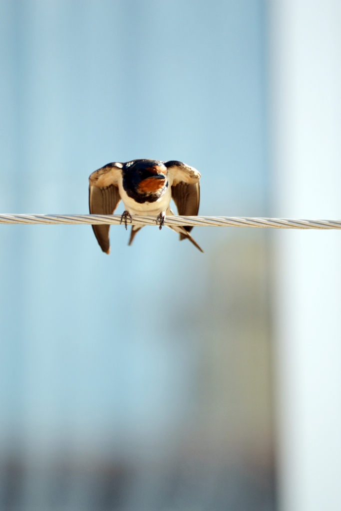 U�u�a haz�rl�k :)