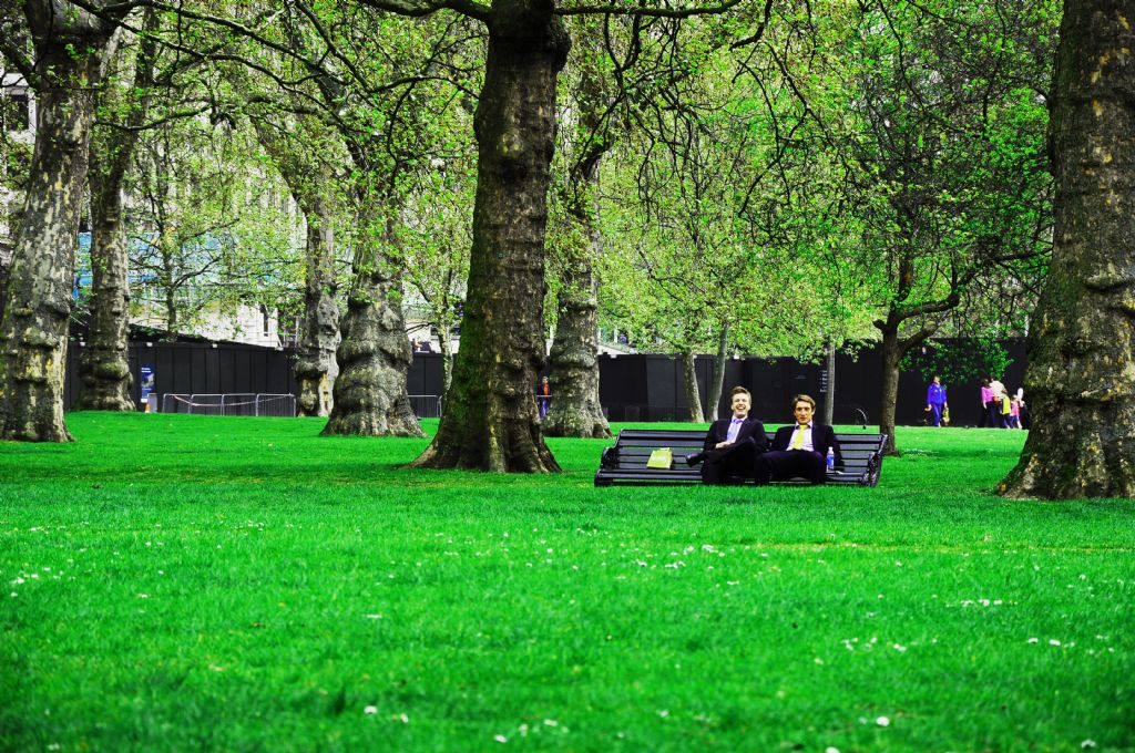 Men in suit in the park