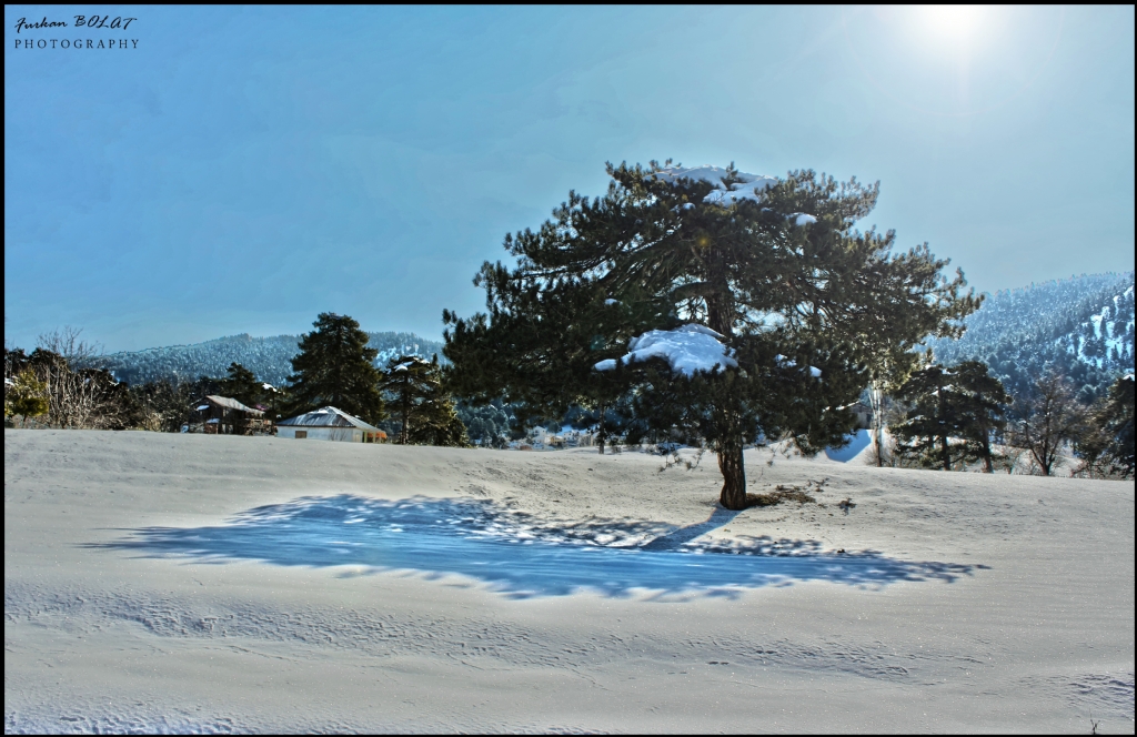 Kar Manzaralar . . . 