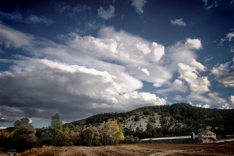 Mudurnu ve beyaz et..