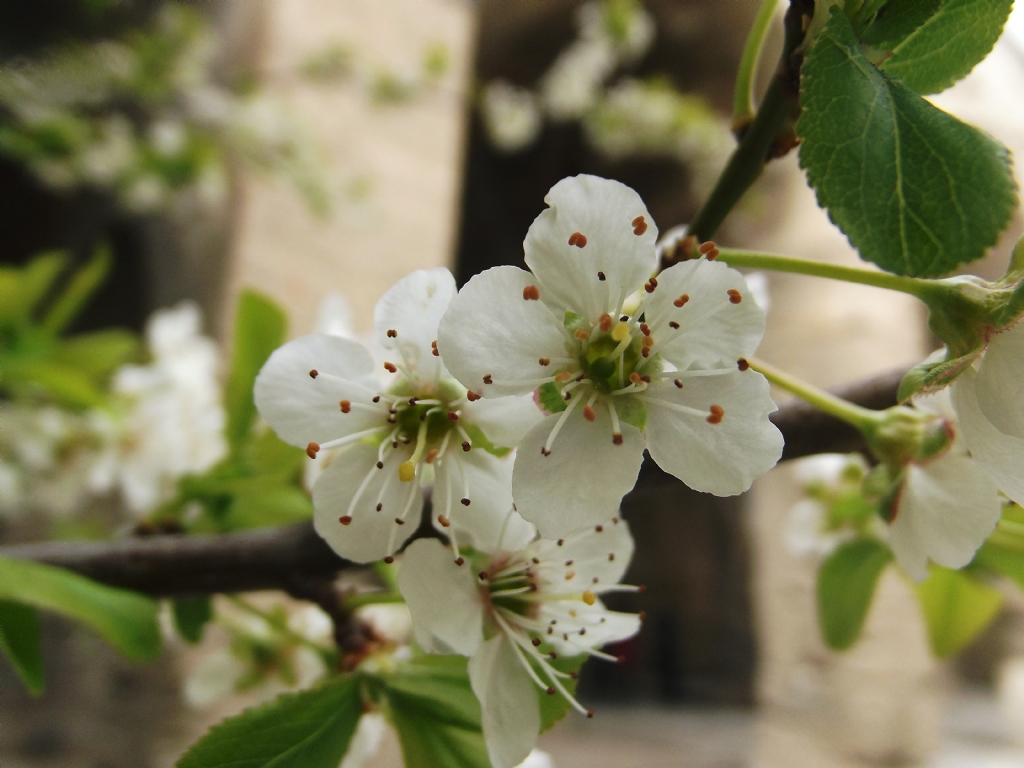 ho�geldin ilkbahar...