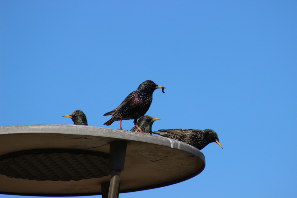 Hayat olmu� bir foto�raf