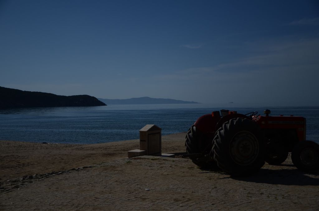 Kapda  yarmadas ormanl ky