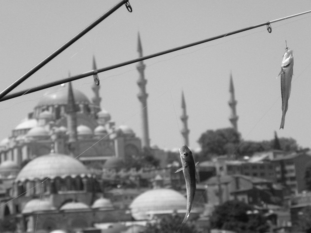 Sleymaniye ve Galata Balks