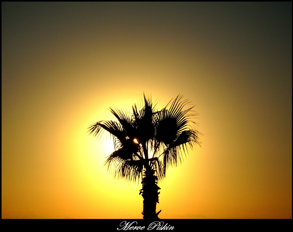 **Gnele Saklamba oynamaca 