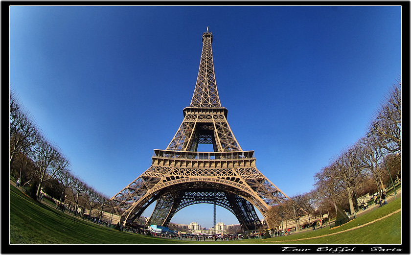 Eiffel Halleri 2