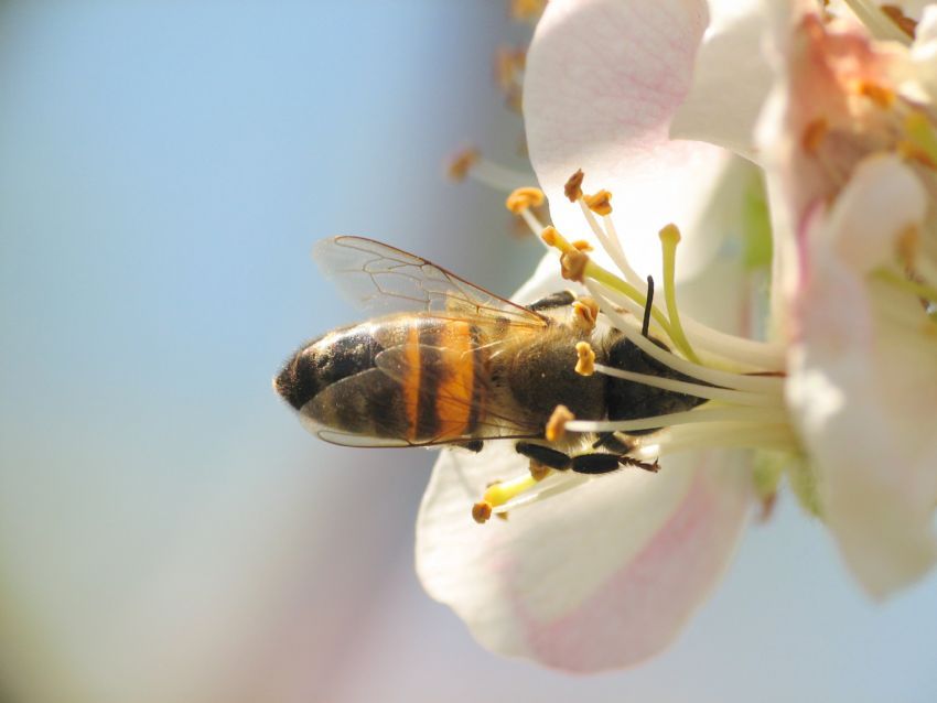 A�g�zl� Ar� :))