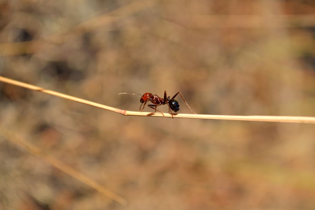 uzun ince bir yoldaym...