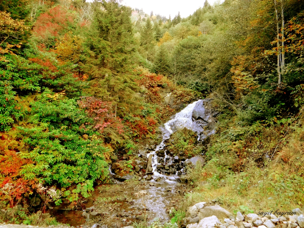 yayla