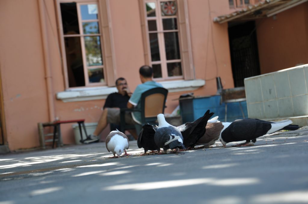 b�raz yemek b�raz sohbet