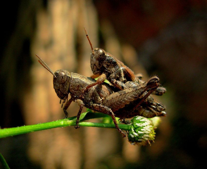 yine bas�ld�k :)