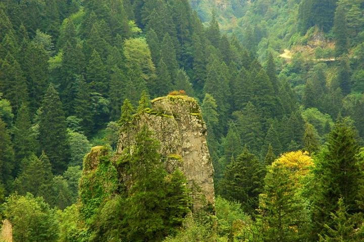 s�mela dan bak��