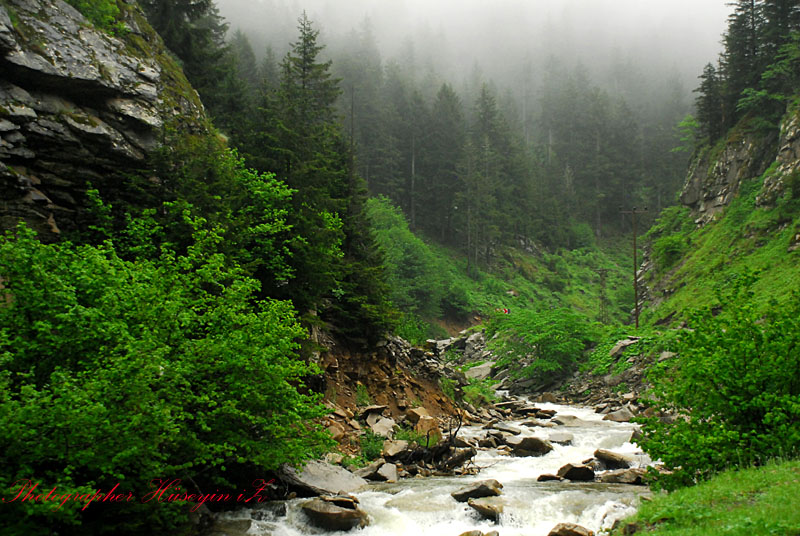 Su Gelir gldr gldr...