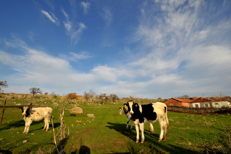 K�yden Manzaralar ..