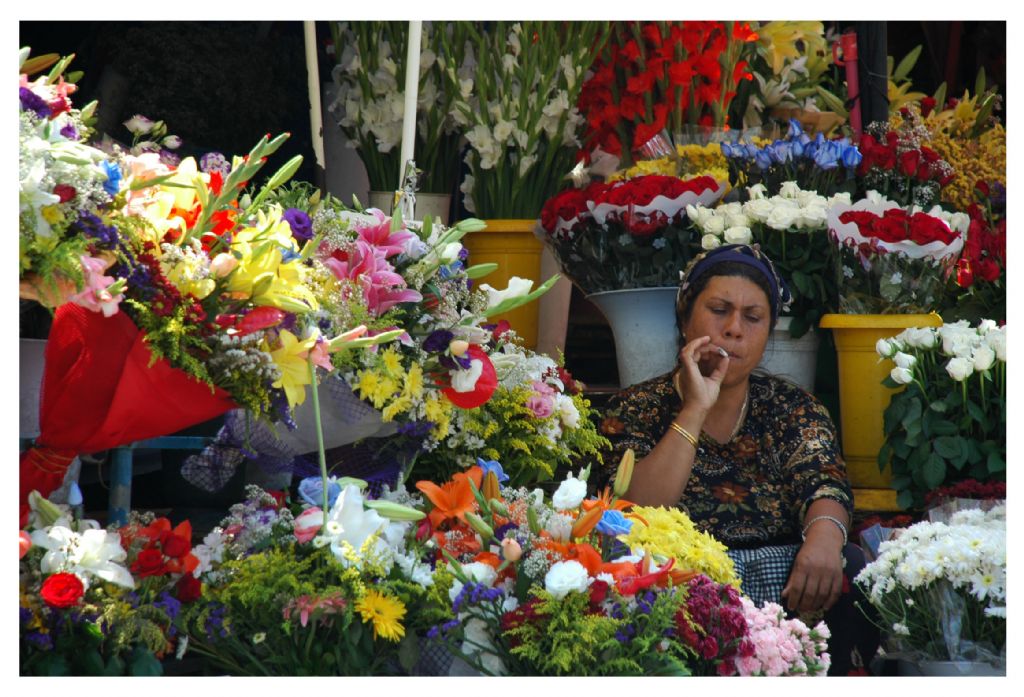EK KOKULARI NDEK SGARA DUMANI