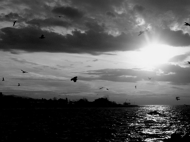 u�un ku�lar II...