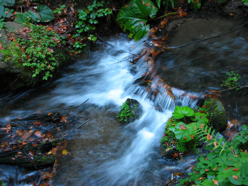 Yedigller su ve yaam