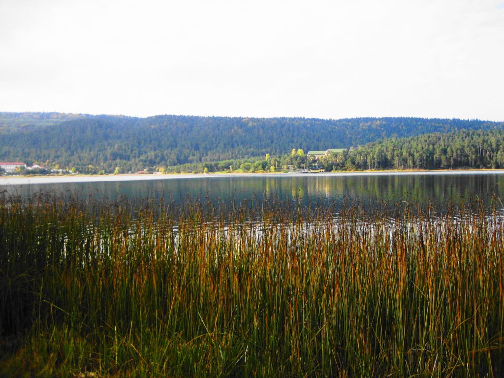 Sazlklar iinde Abant