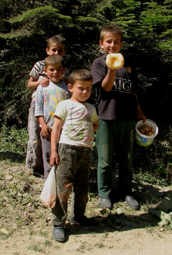 Yayla ocuklar