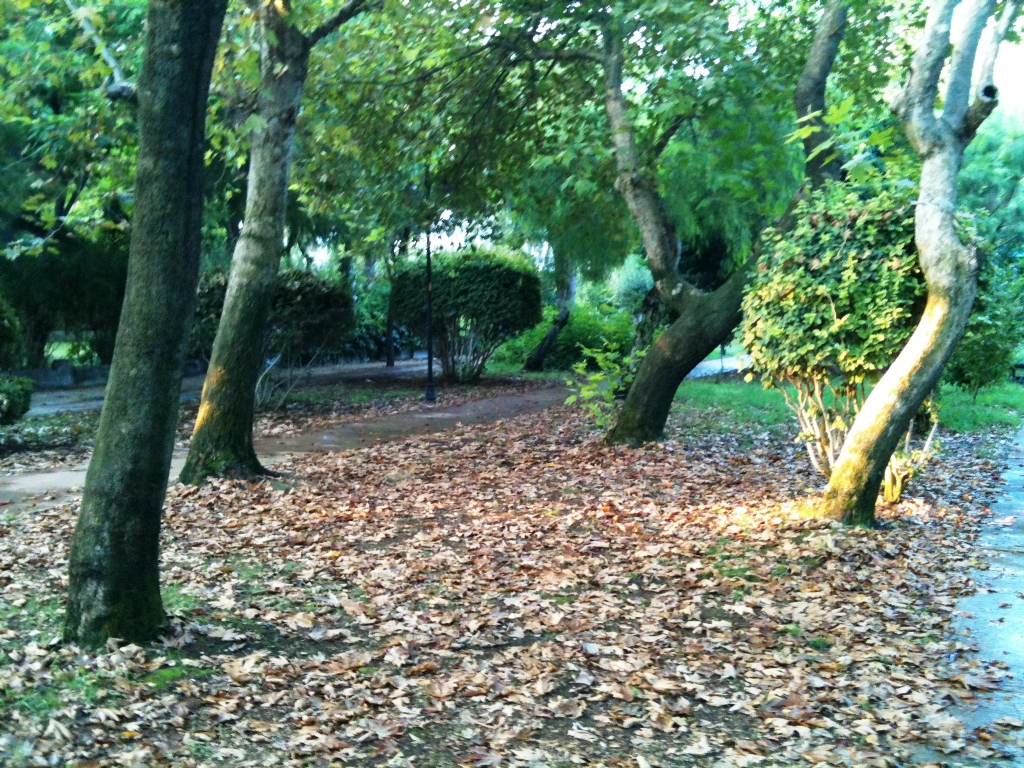 ANTALYA 2012 BR YAZ SABAHI