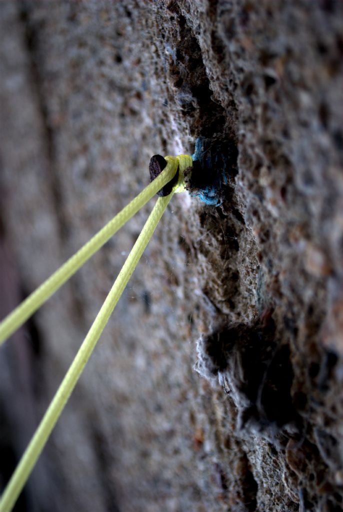 Y�regimdesin...(M�h gibi.)