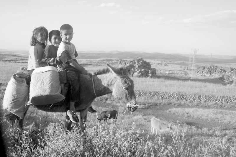 k���k �obanlar