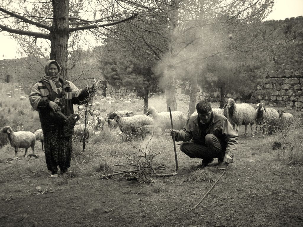 tamam dogru diyiyorsun da????