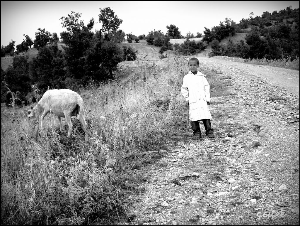 �oban y�ld�z�