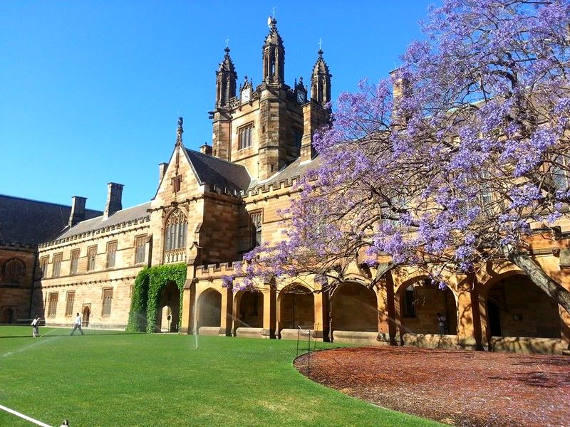 Sydney �niversitesi (Avustralya)