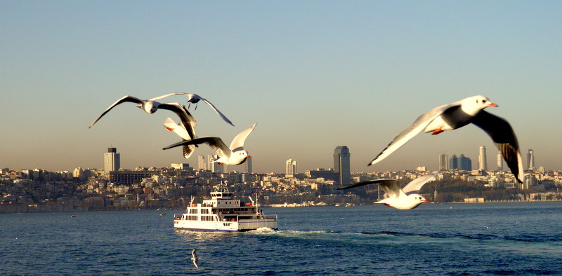 �STANBULUN  SAH�PLER� ( MARTILAR)